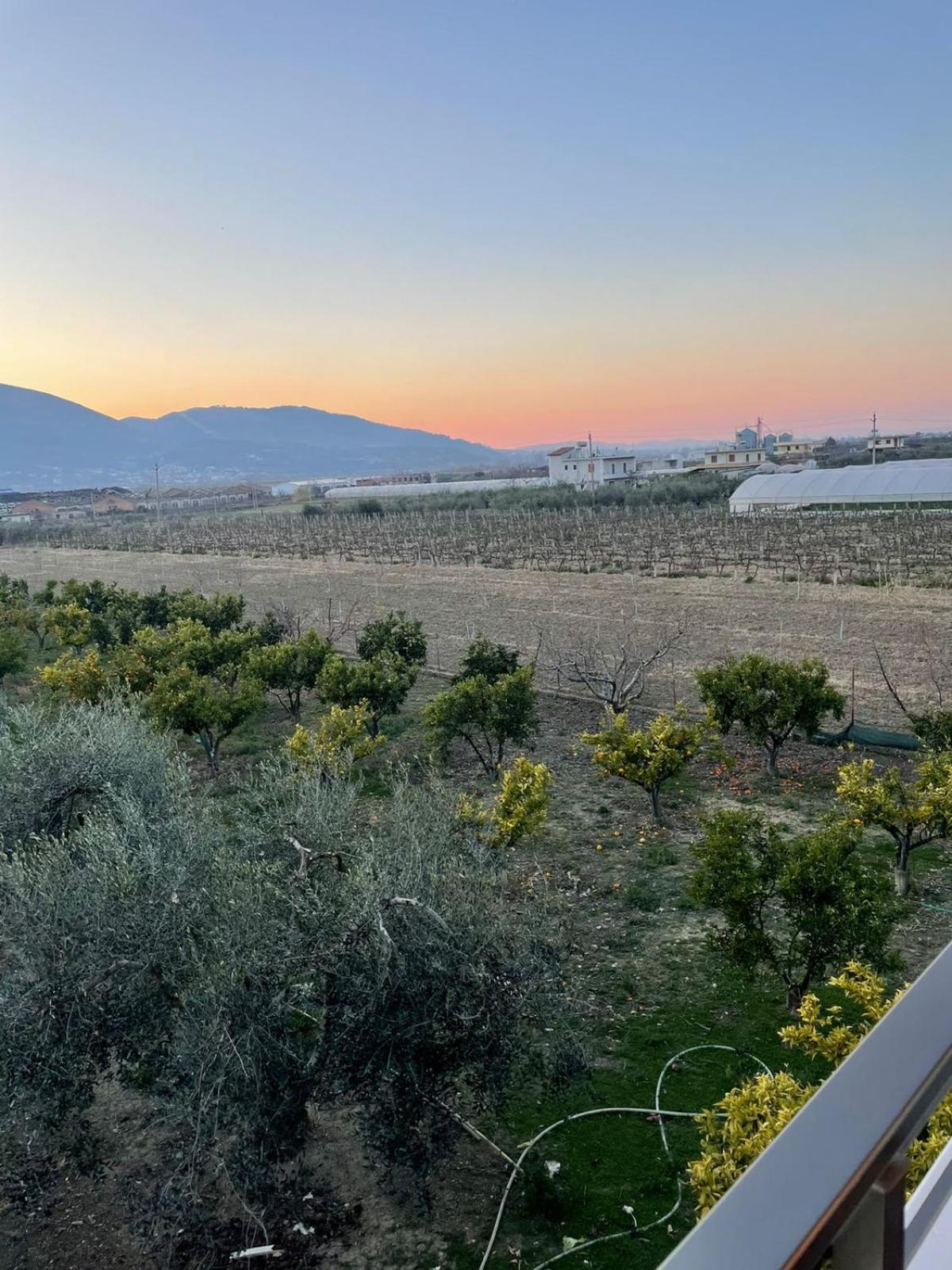 Harmony Villa بيرات المظهر الخارجي الصورة